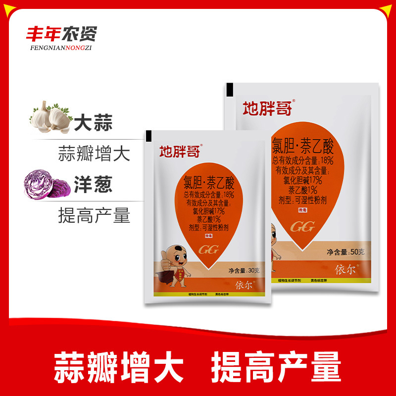 地胖哥 氯胆萘乙酸膨大素三七白术大姜土豆地下根茎块增产膨大剂