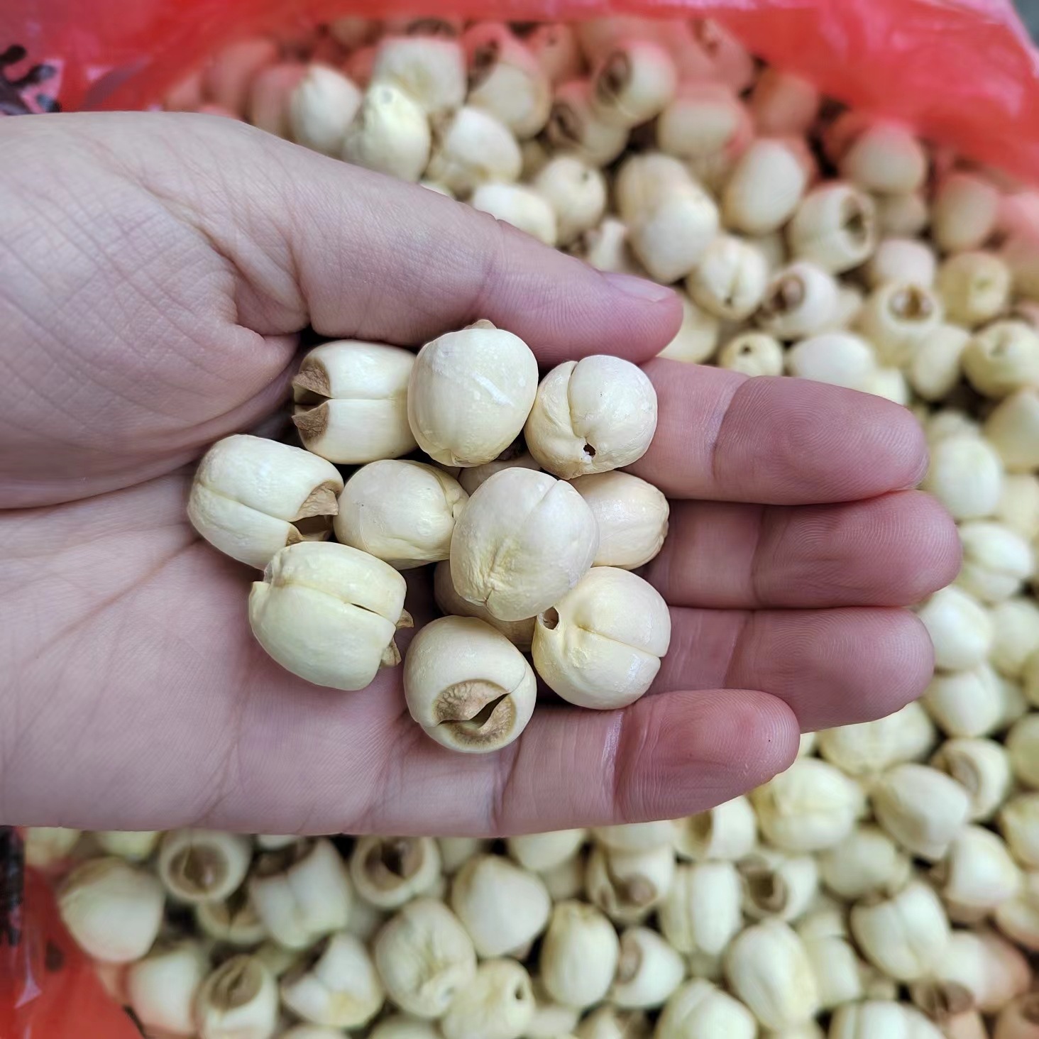 江西白莲子抚州白莲批发特产去芯莲子干通芯太空莲农产品通芯白莲