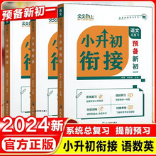 天天向上小升初预备新初一七年级语文数学英语小学总复习分层训练