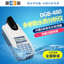 上海雷磁 DGB-403F/401/402F/480实验室便携式多参数水质分析仪