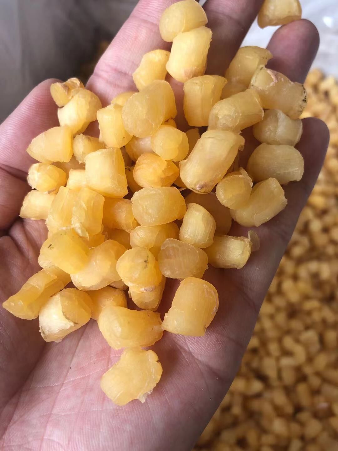 干贝(足干糖贝,规格500头左右,一件40斤)