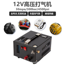 跨境热销车载高压打气机30mpa充气泵户外潜水12v/110V/220V风冷