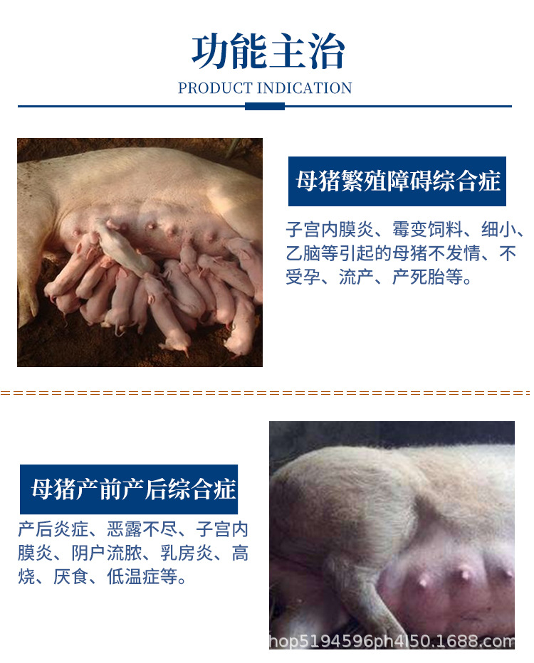 兽药母猪圣典兽用盐酸林可霉素注射液注射用青霉素钾母猪产后消炎