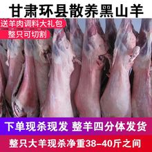 环县黑山羊整只羊肉新鲜羊排羊腿现杀烤全羊宁夏滩羊白条羊肉批发