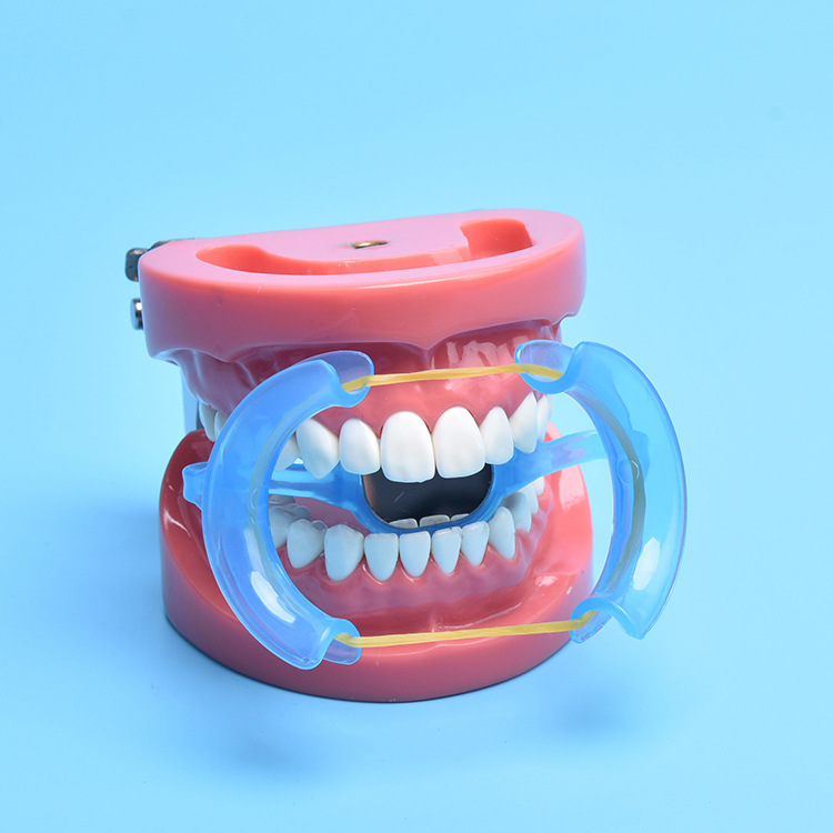 牙科材料弓形开口器m型带镜一次性扩口器美牙挡舌撑口器现货供应