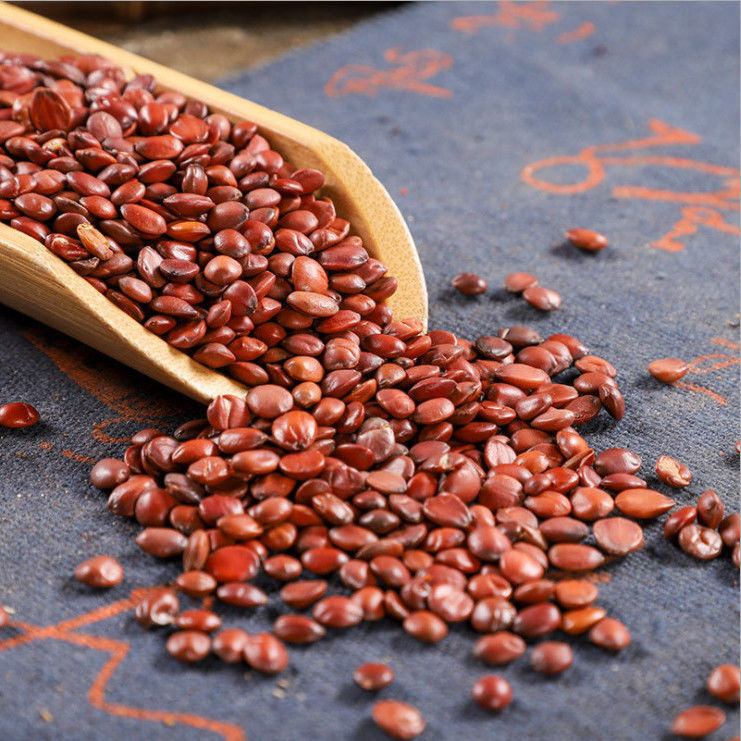 北京同仁堂无硫国产酸枣仁野炒生中药材包邮可备注生酸枣仁可磨粉