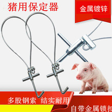 套猪器猪用绑猪器保定器不锈钢拴猪套子拉猪器套狗器抓猪工具器械