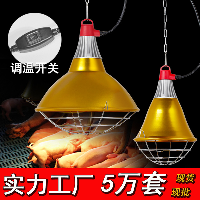 养殖灯畜牧