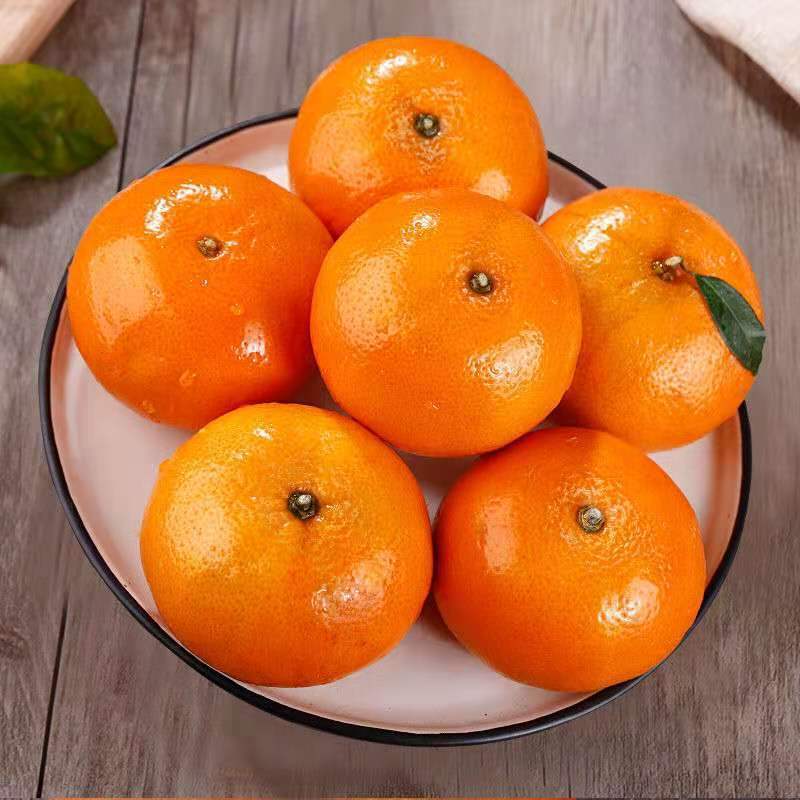 正宗广西武鸣沃柑现摘橘子新鲜非柑砂糖橘应季孕妇水果礼盒装