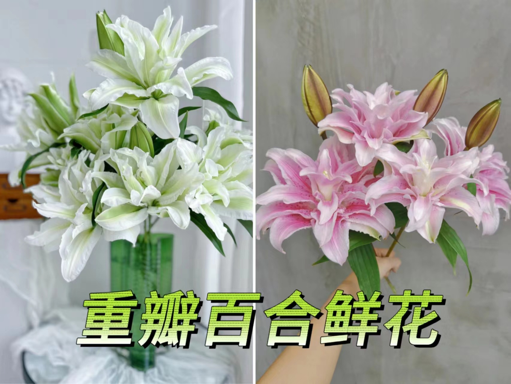 云南鲜花重瓣百合花多瓣香水百合婚庆装饰家居三头白色粉色百合