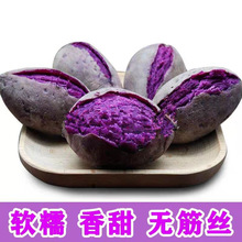 沙地现挖新鲜紫薯紫色红薯紫罗兰地瓜新鲜蔬菜1/2/3/5斤产地直发