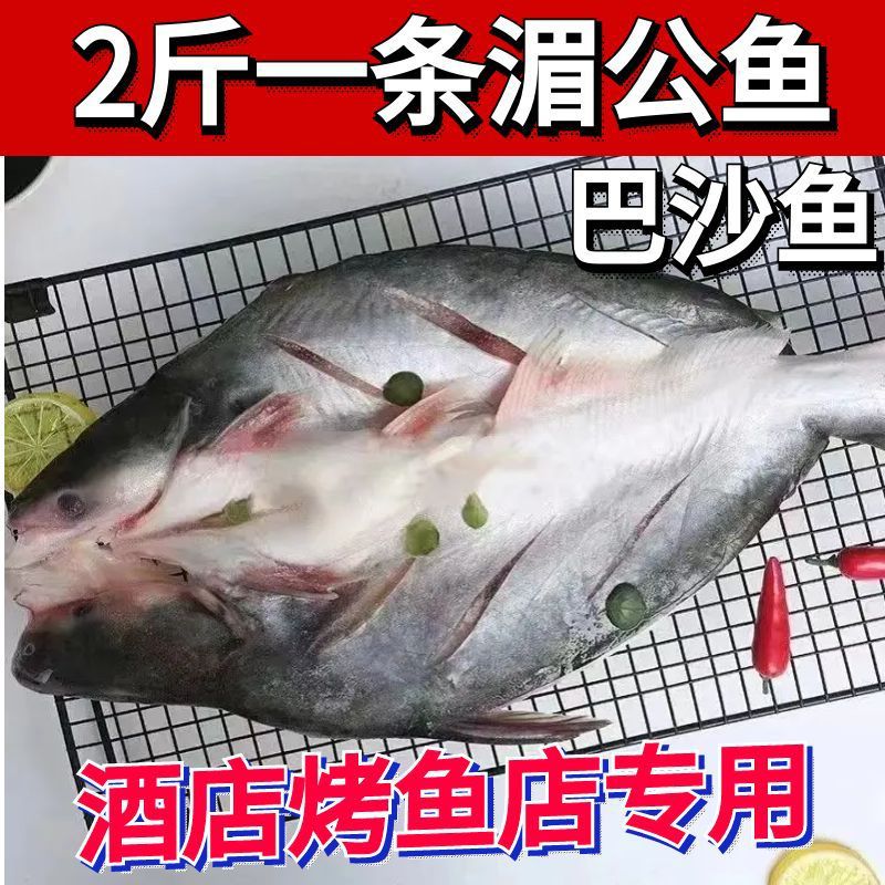 新鲜巴沙鱼整条带皮开背烤鱼整箱湄公鱼去内脏批发10条
