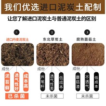 多肉颗粒土泥炭花土叶插纯颗粒营养土包邮多肉土通用型土壤