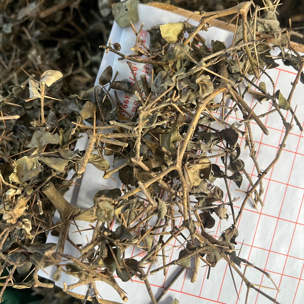 虎刺根刺虎伏牛花绣花针黄脚鸡鸟不宿根锈花针批发中药材