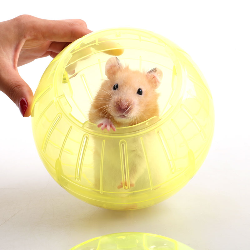 仓鼠跑轮跑球金丝熊跑步滚球滚轮运动球转轮生活专用玩具用品球笼