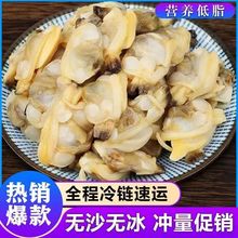 鲜活现剥花甲肉无沙无泥大个速冻哈喇肉蛤蜊肉顺丰包邮