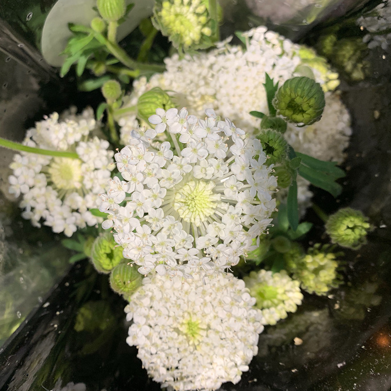 园花鲜切花-园花鲜切花厂家,品牌,图片,热帖-阿里巴巴