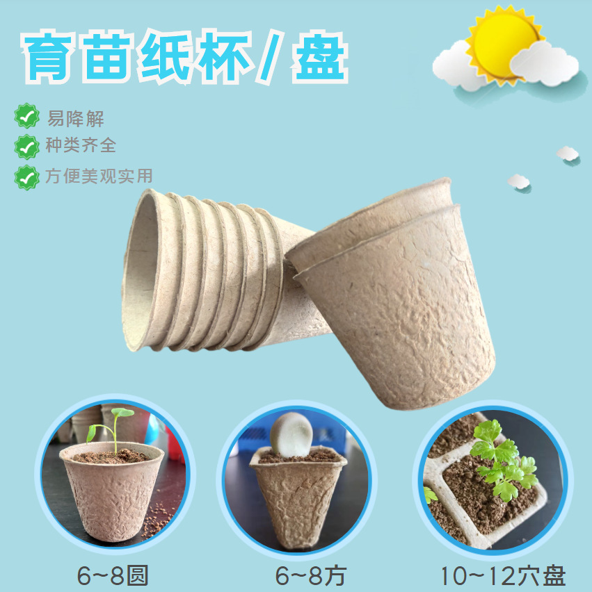 厂家批发8方纸浆育苗杯纸穴盘带孔花卉果蔬育苗苗圃用易降解营养