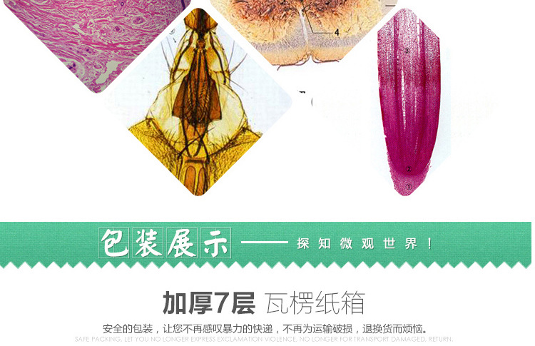 囊)16,轮藻15,硅藻14,紫菜装片13,狐尾藻装片12,水绵接合生殖装片11