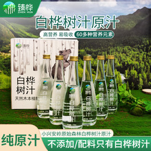 小兴安岭天然白桦树汁原液原汁含量水植物饮310ml*6瓶