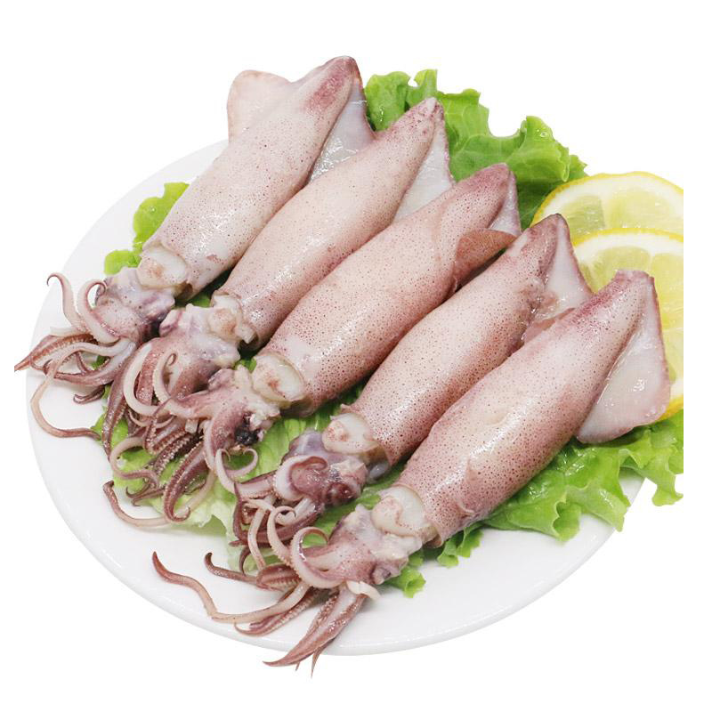 海鲜 冻品 小鱿鱼 膏鱿 笔管鱼 美国小海兔 含籽率40~50% 20斤/件