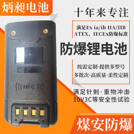 石油化工本安防爆电池 本安认证对讲机聚合物防爆锂电池5900mAh