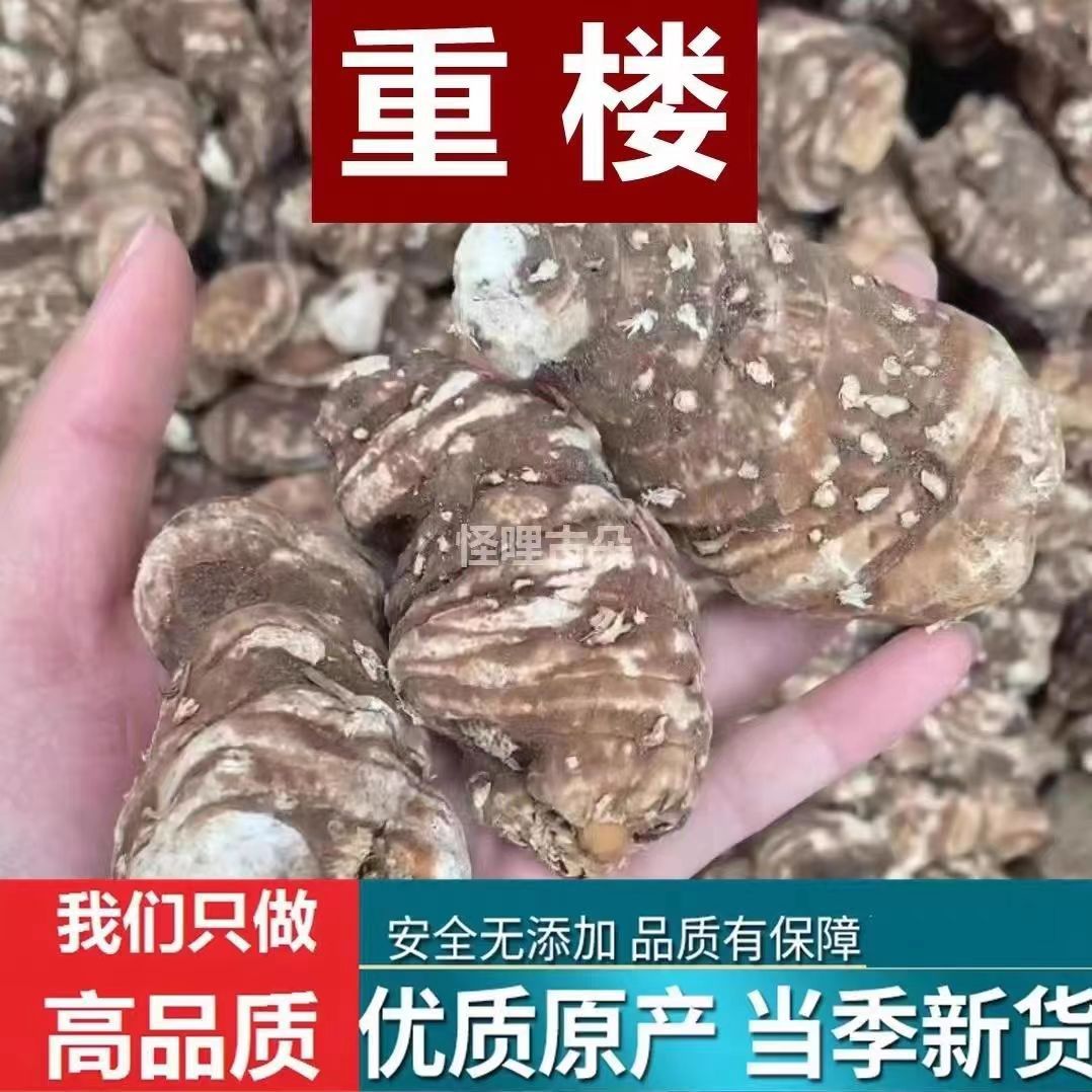 正品重楼 七叶一枝花 云南滇重楼干货粉质草河车蚤休批发包邮