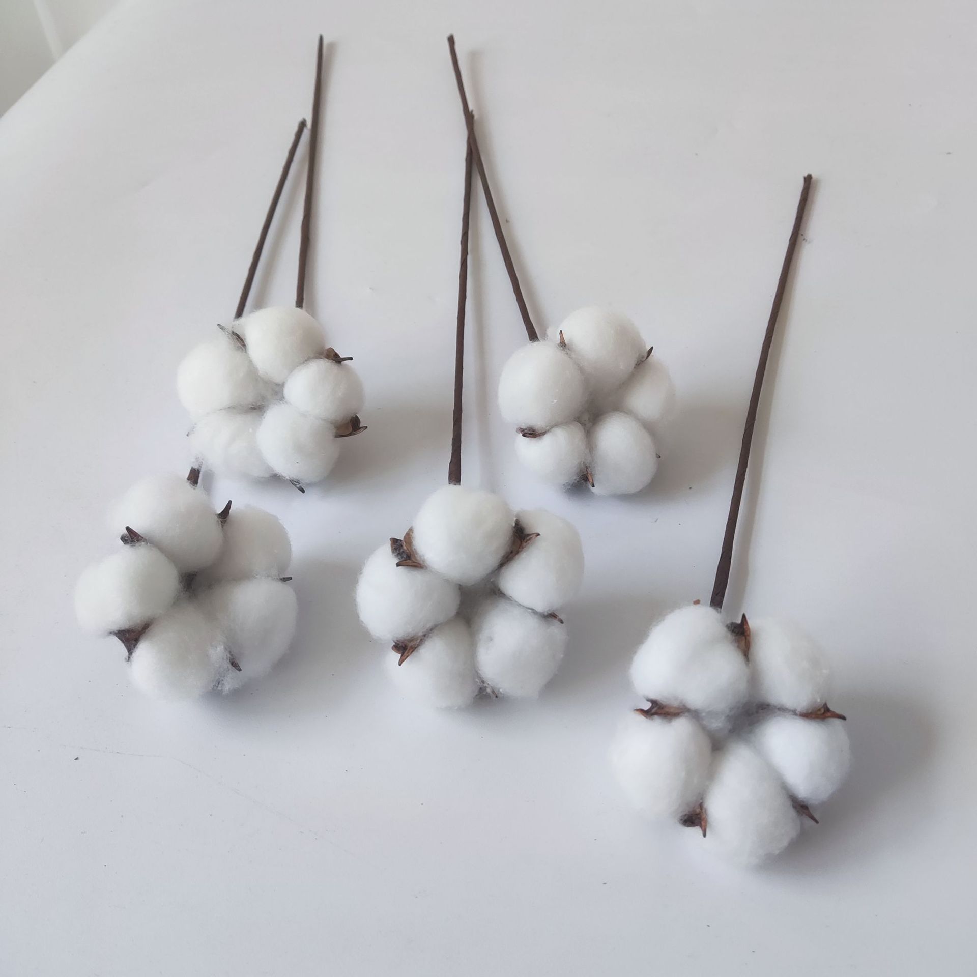 新疆五瓣棉花头 精品棉花棉花花束 厂家供应棉花干花 diy棉花