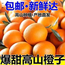 脐橙当季橙子新鲜水果冰糖甜橙榨汁批发非赣南的爱媛38果冻橙跨境
