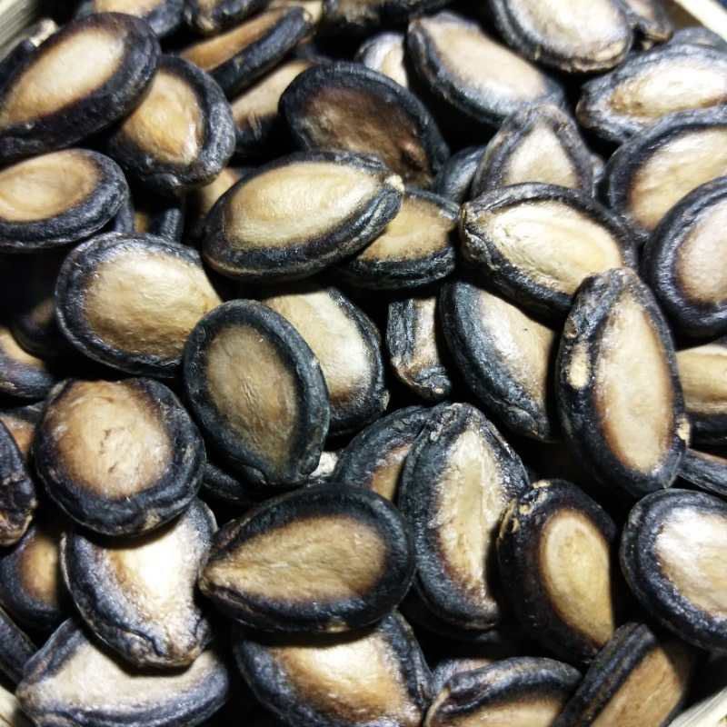 新货内蒙生黑西瓜子大片中片小片打瓜子8斤5斤3斤2斤包邮批发