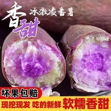 南沙一点红红薯农家自种沙地花心冰淇淋番薯紫心板栗蜜薯地瓜紫薯