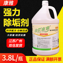 白云康雅KY119强力除垢剂洗石水大理水磨石地面除锈水泥酸性洁剂