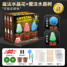 儿童趣味科学实验套装水晶花种植DIY试验水晶圣诞树儿童玩具礼物