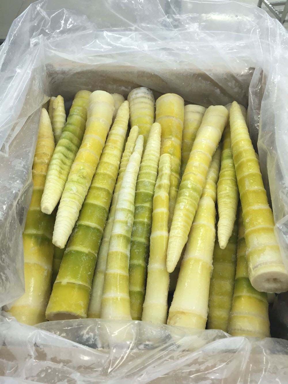【厂家支持小额混批】慈溪鲜冻方便净菜速冻雷笋