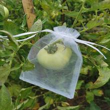 果蔬袋网袋套果尼龙葡萄套袋子防鸟网防虫水果防虫草莓透气速卖通