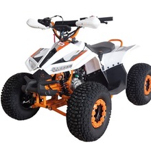 跨境出口工厂直售 带CE的链传动四轮全地形车110cc Mudhawk 110