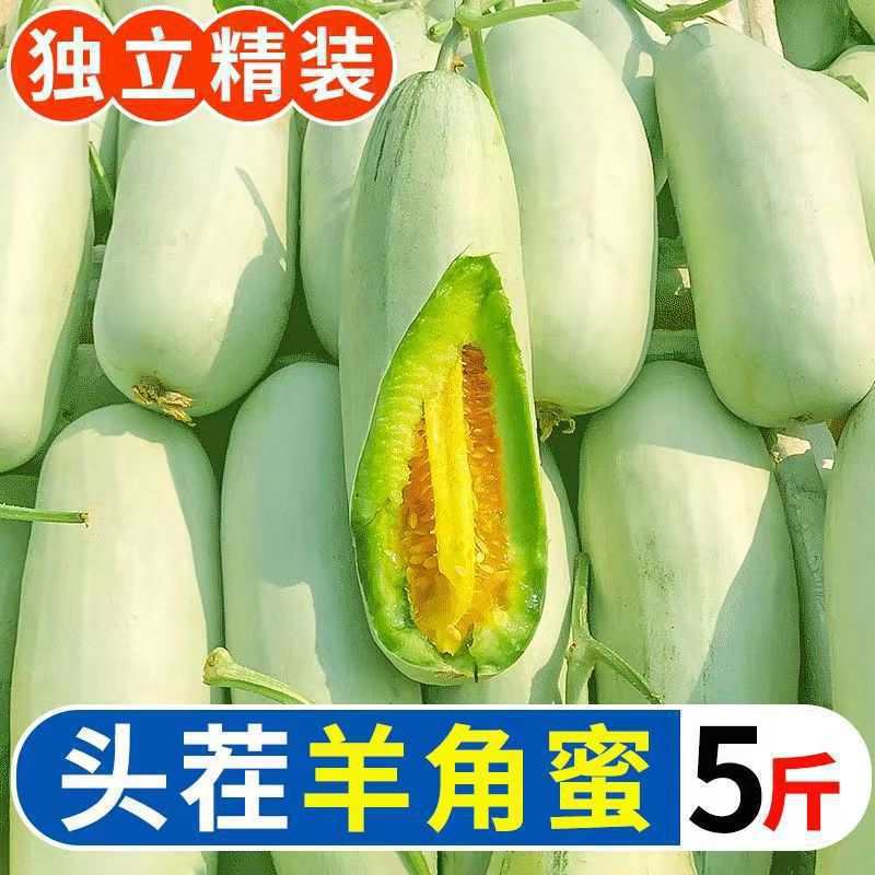 羊角密甜瓜山东新鲜薄皮蜜瓜水果蜜瓜整箱脆甜当季包邮无