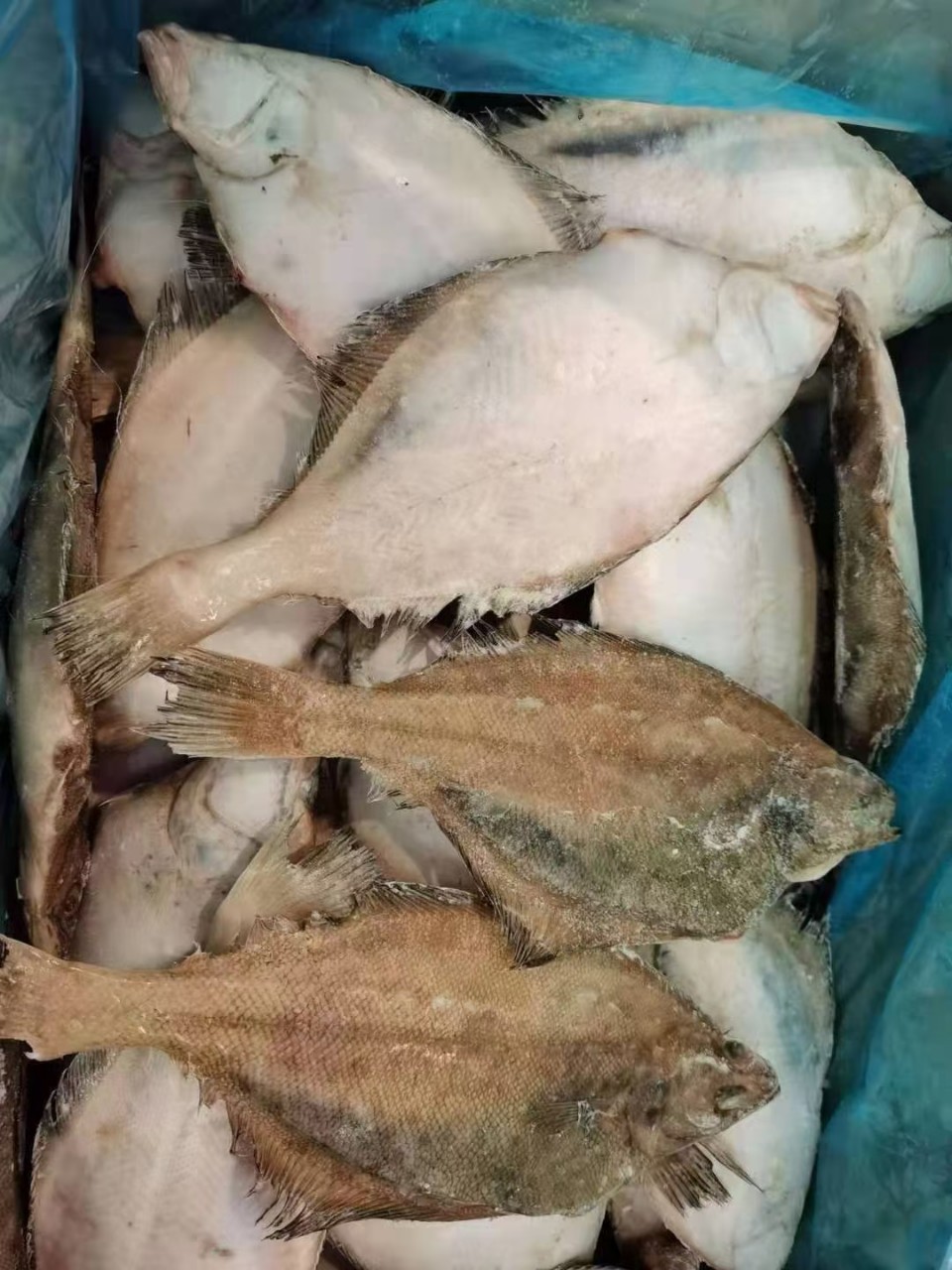 批发本地冷冻小偏口鱼食堂自助快餐社区团购