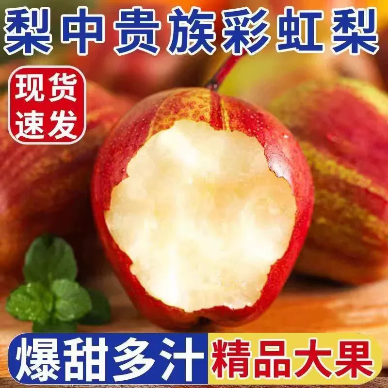梨中贵族彩虹梨新鲜水果皮薄多汁脆甜可口现摘现发一件代发