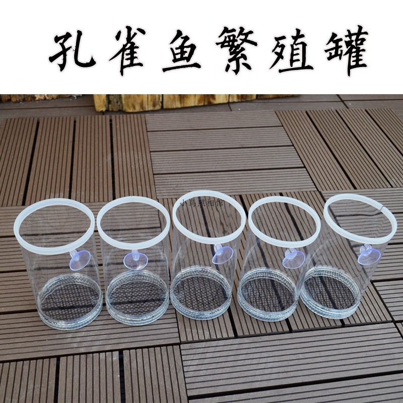 斑马鱼繁殖盒孵化盒分离小鱼商用鱼卵隔离盒水族馆皮球漂浮鱼生