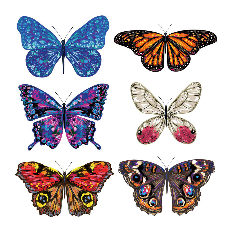 彩色蝴蝶烫画图logo热转印	t恤贴热转移印花衣服烫印烫图diy定制