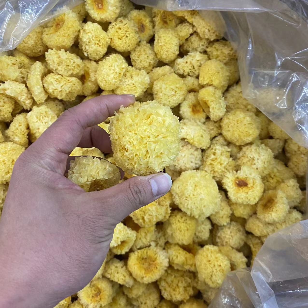 金耳 云南2021新货金耳 干金耳特级金黄小银耳无熏硫黄金耳食用菌