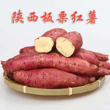 陕西板栗红薯蜜薯沙地番薯新鲜地瓜粉面香甜临潼正宗板栗薯