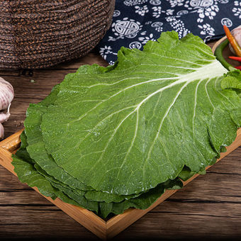 新鲜蔬菜 饭包叶 大白菜叶子饭包专用 泡沫箱冰袋发货 不新鲜包赔