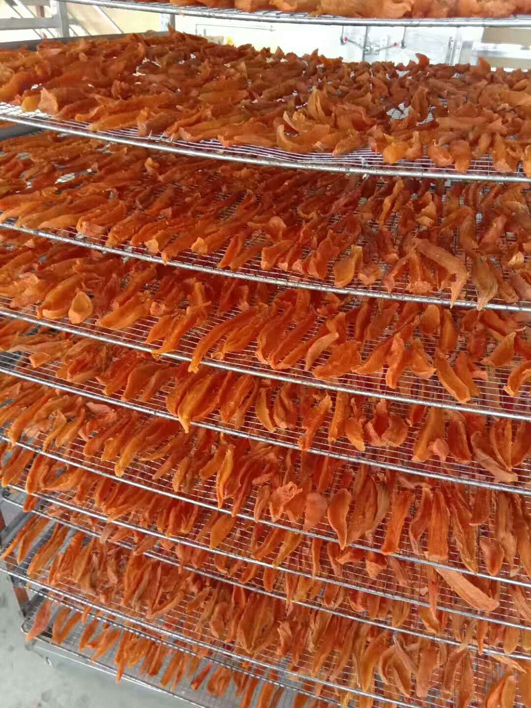 煤电两用红薯烘干机杨梅苹果片烘干机红薯条烘干房杏干烤房