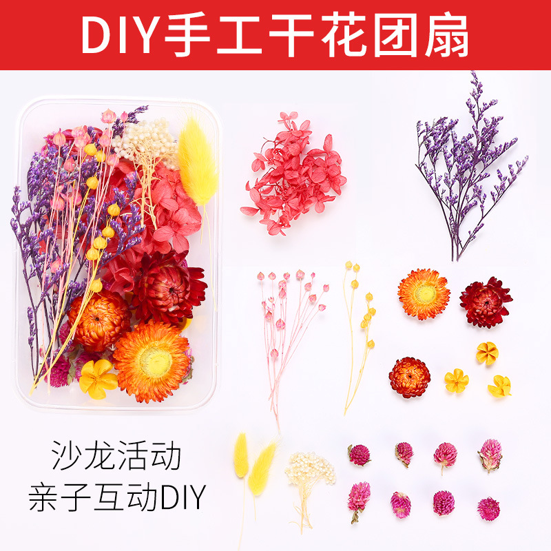 Dried Flower Circular Fan Diy Material Package Preserved Fresh Flower Antique Court Fan Mother's Day Children's Parent-Child Handmade Gift Fan Surface