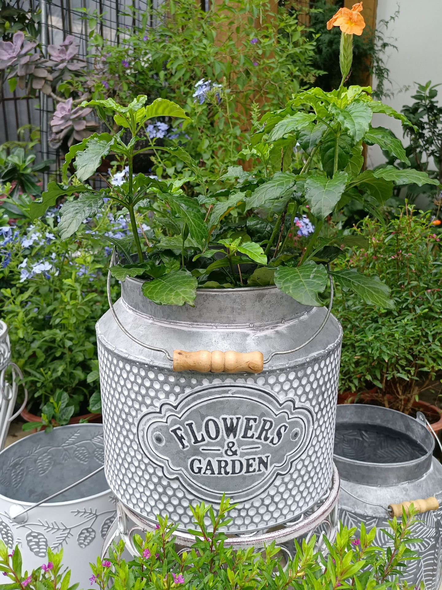 外贸亚马逊爆款日系复古做旧铁艺牛奶罐花桶花盆韩系花园装饰杂货