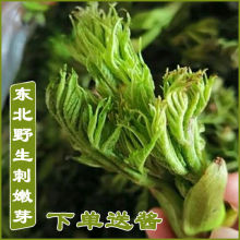 龙芽菜厂家