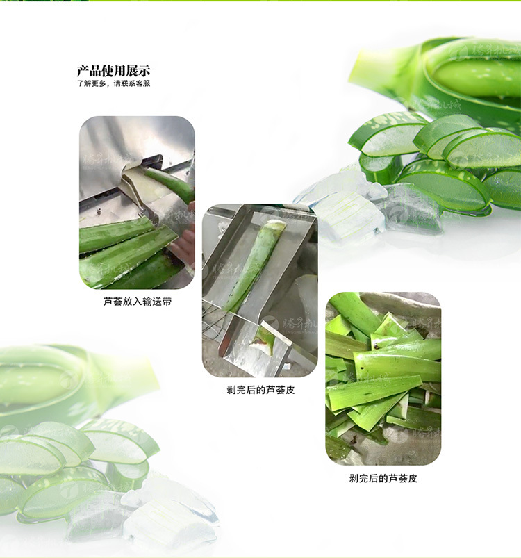 食用芦荟加工 芦荟功效提练加工去皮设备 芦荟剥皮 去皮效果好