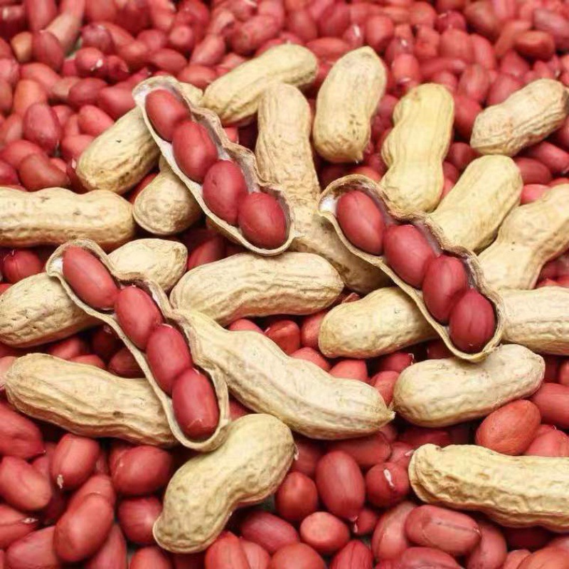 正阳县卓壹农业发展有限公司1年卓壹品牌相似产地直供2020年新花生米